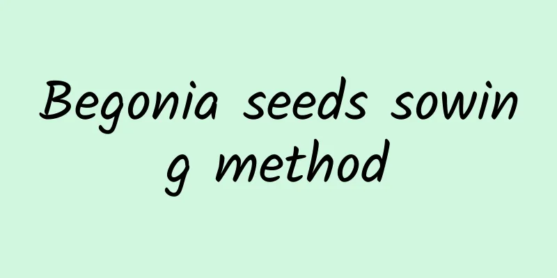 Begonia seeds sowing method