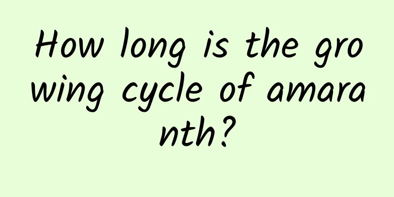 How long is the growing cycle of amaranth?