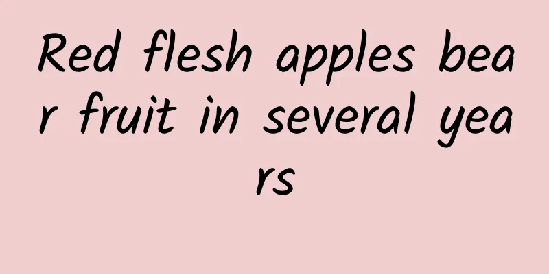 Red flesh apples bear fruit in several years
