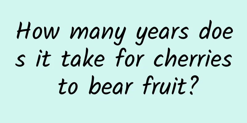 How many years does it take for cherries to bear fruit?