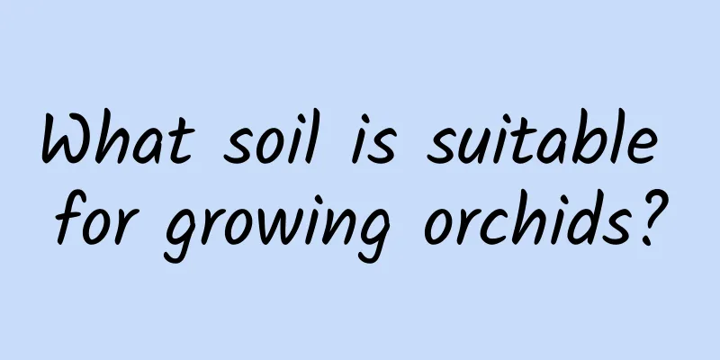What soil is suitable for growing orchids?