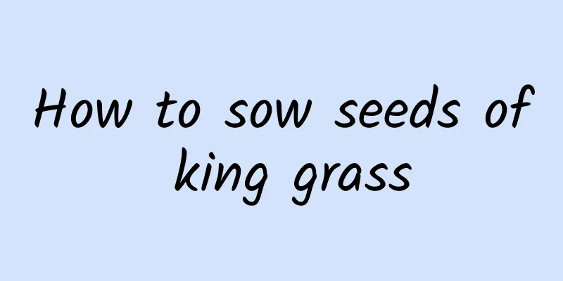 How to sow seeds of king grass