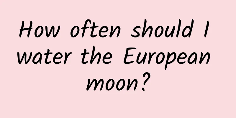 How often should I water the European moon?