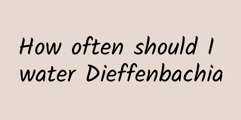 How often should I water Dieffenbachia