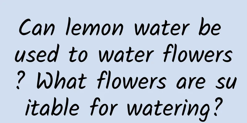 Can lemon water be used to water flowers? What flowers are suitable for watering?