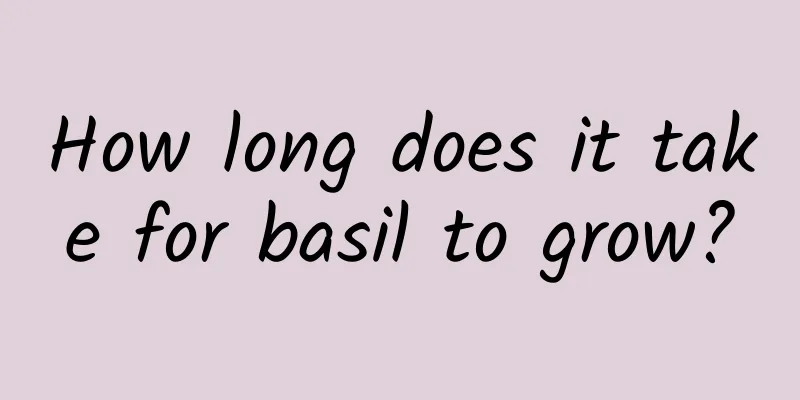 How long does it take for basil to grow?