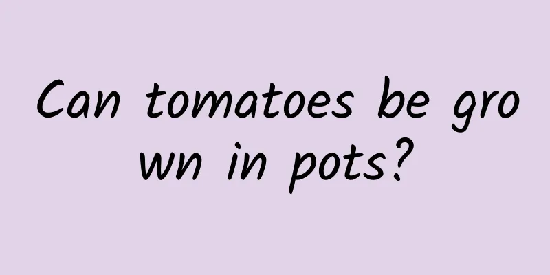 Can tomatoes be grown in pots?