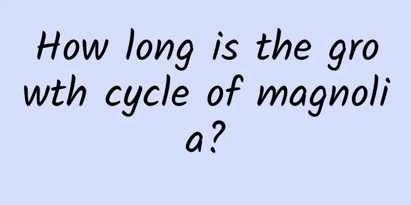 How long is the growth cycle of magnolia?