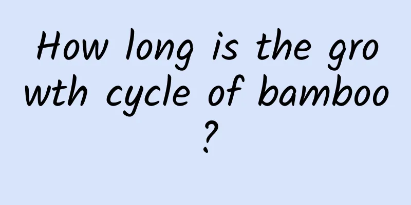 How long is the growth cycle of bamboo?
