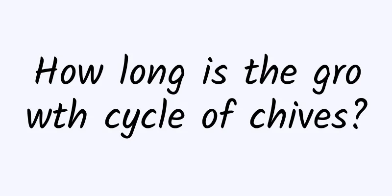 How long is the growth cycle of chives?