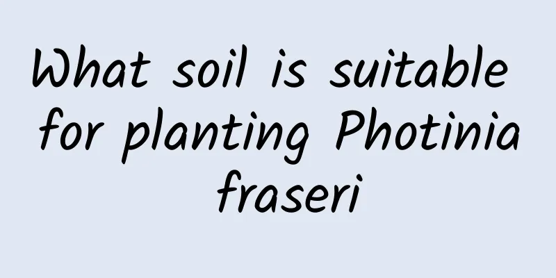What soil is suitable for planting Photinia fraseri