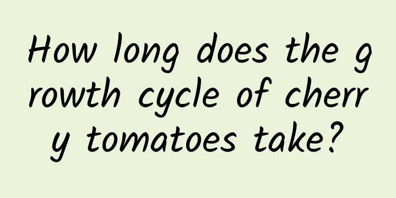 How long does the growth cycle of cherry tomatoes take?
