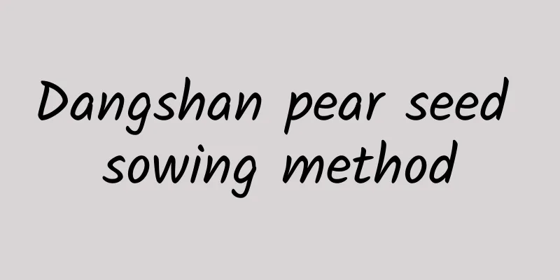 Dangshan pear seed sowing method