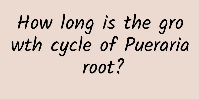 How long is the growth cycle of Pueraria root?