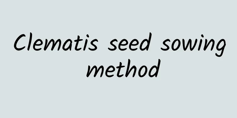 Clematis seed sowing method