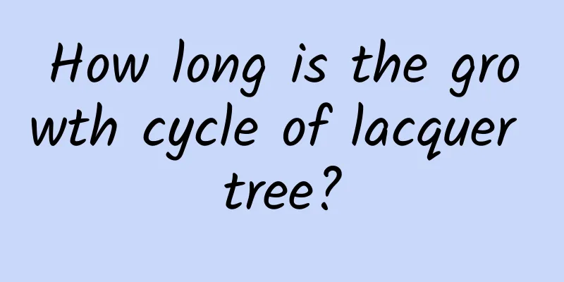 How long is the growth cycle of lacquer tree?