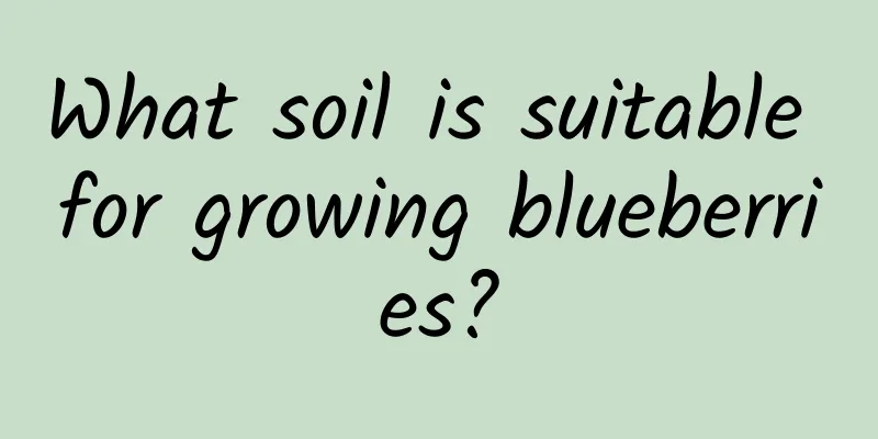 What soil is suitable for growing blueberries?