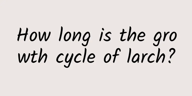 How long is the growth cycle of larch?