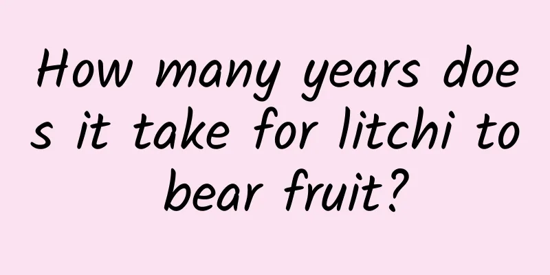 How many years does it take for litchi to bear fruit?