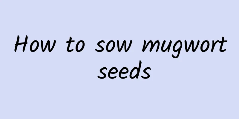 How to sow mugwort seeds