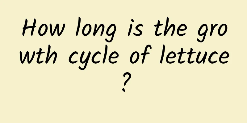 How long is the growth cycle of lettuce?