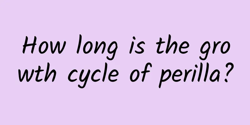 How long is the growth cycle of perilla?