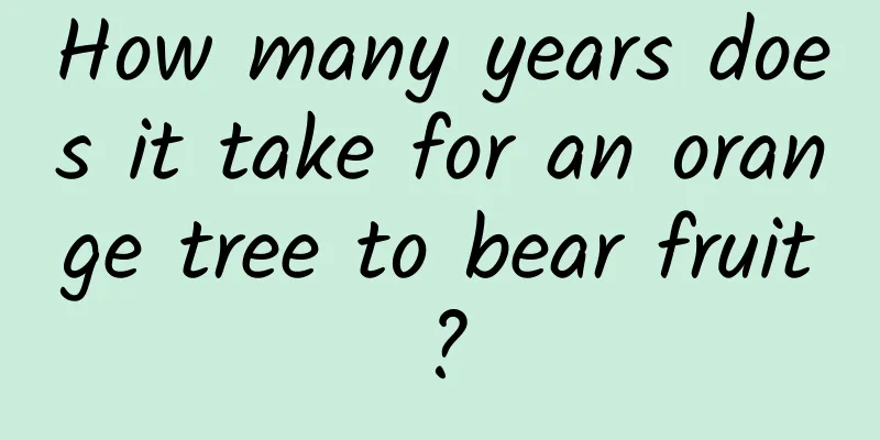 How many years does it take for an orange tree to bear fruit?
