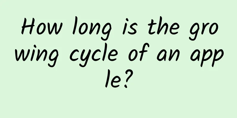 How long is the growing cycle of an apple?