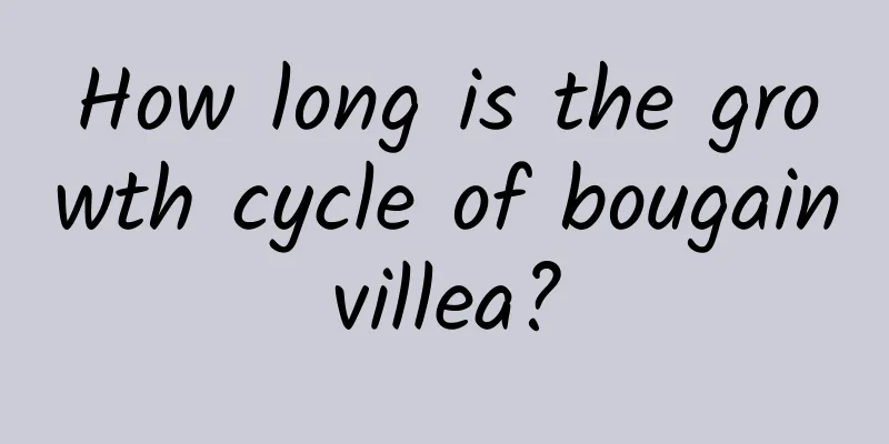 How long is the growth cycle of bougainvillea?