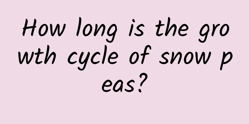 How long is the growth cycle of snow peas?