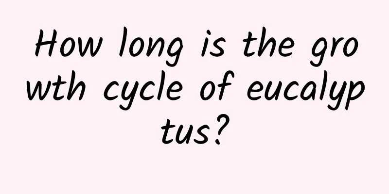 How long is the growth cycle of eucalyptus?