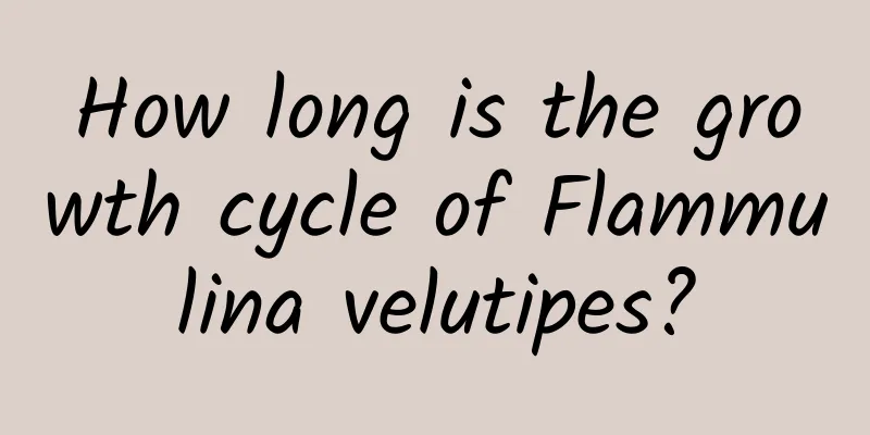 How long is the growth cycle of Flammulina velutipes?