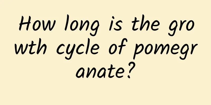 How long is the growth cycle of pomegranate?
