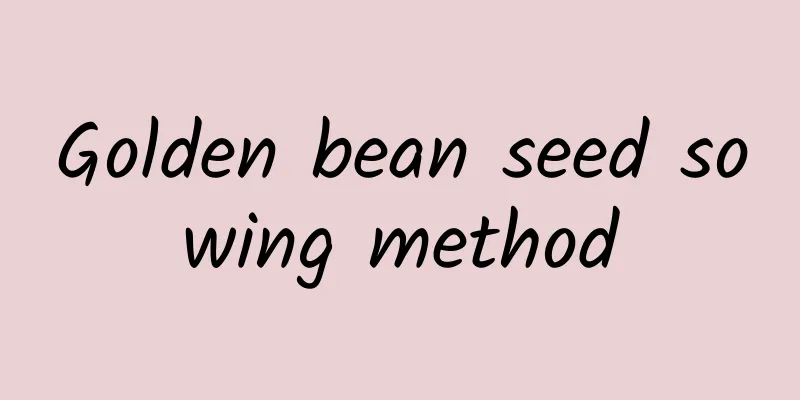 Golden bean seed sowing method