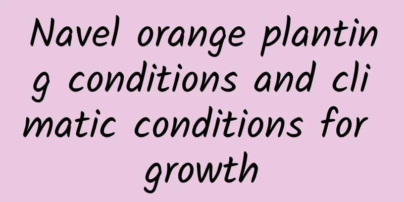 Navel orange planting conditions and climatic conditions for growth
