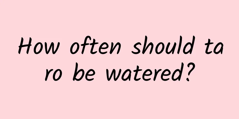 How often should taro be watered?