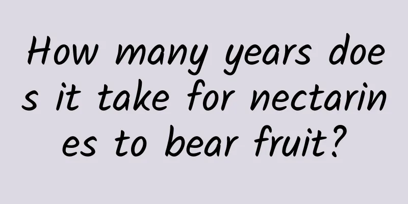 How many years does it take for nectarines to bear fruit?