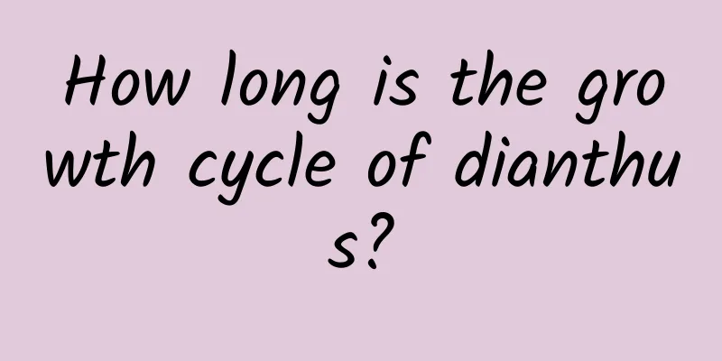 How long is the growth cycle of dianthus?