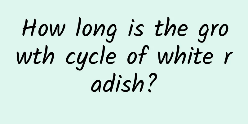 How long is the growth cycle of white radish?