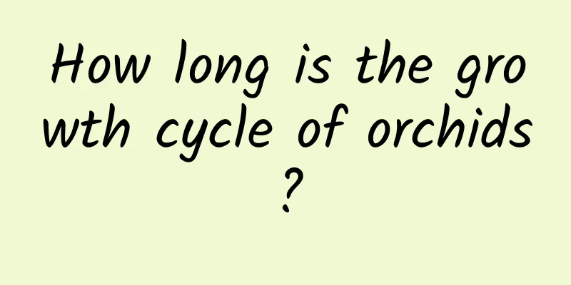 How long is the growth cycle of orchids?