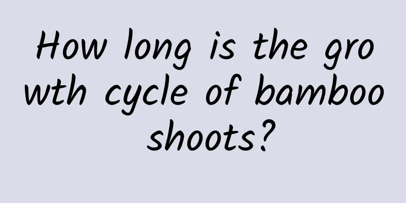 How long is the growth cycle of bamboo shoots?