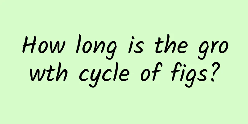 How long is the growth cycle of figs?