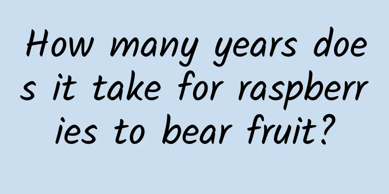 How many years does it take for raspberries to bear fruit?