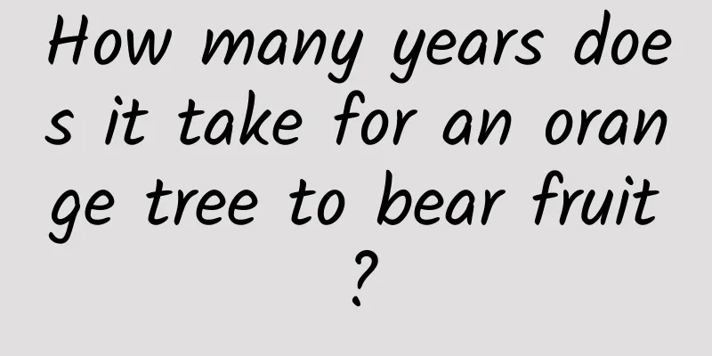 How many years does it take for an orange tree to bear fruit?