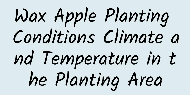 Wax Apple Planting Conditions Climate and Temperature in the Planting Area
