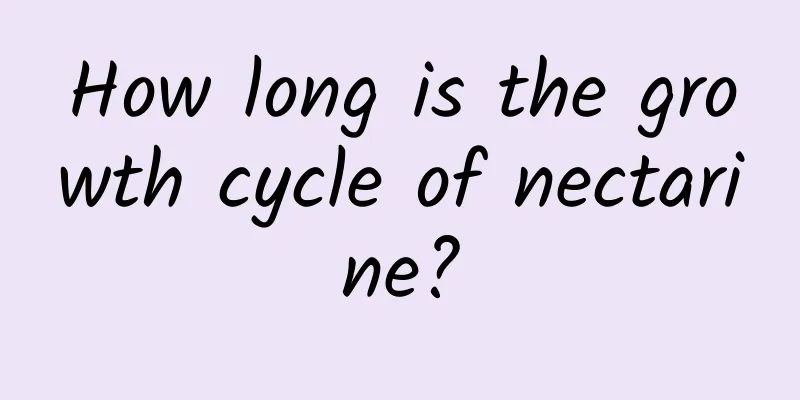 How long is the growth cycle of nectarine?