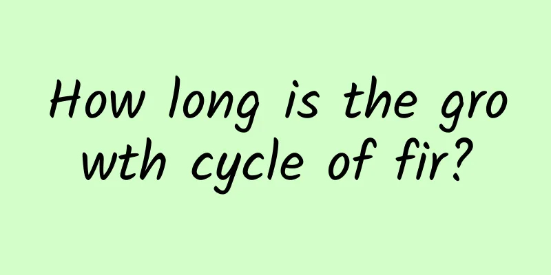 How long is the growth cycle of fir?