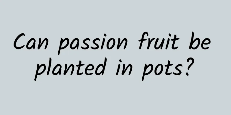 Can passion fruit be planted in pots?