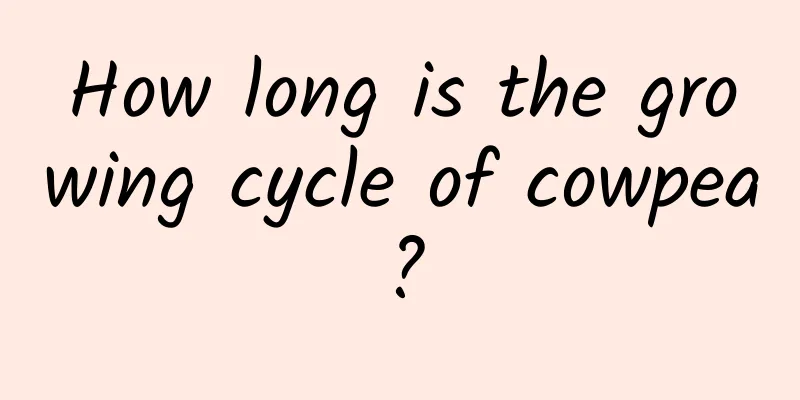 How long is the growing cycle of cowpea?