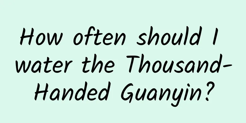 How often should I water the Thousand-Handed Guanyin?